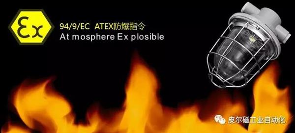皮尔磁自动化.jpg
