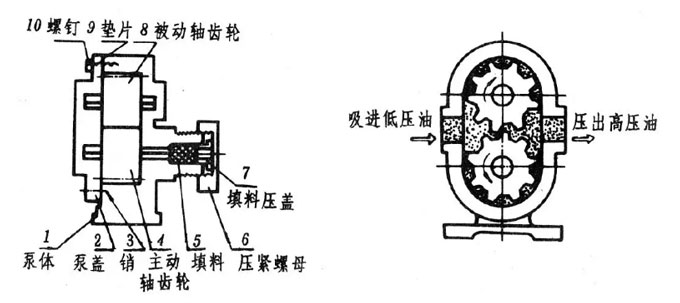齿轮油泵安装图