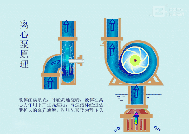 离心泵的工作原理动图