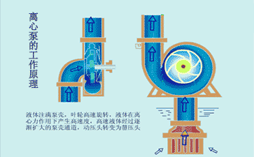 离心泵的工作原理图
