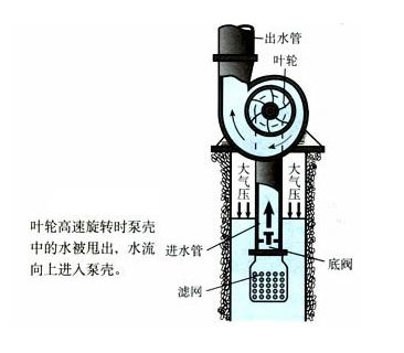 离心式水泵工作原理图
