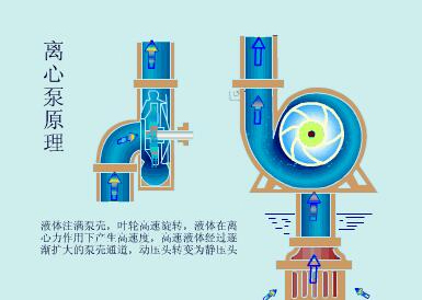 1-1离心泵工作原理图