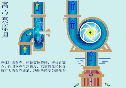 离心泵工作原理动图
