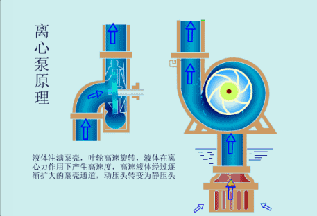 立式离心泵的工作原理