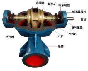 双吸离心泵